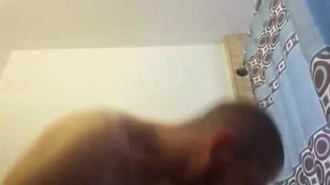 ghuntz22 online show from November 2, 8:09 pm