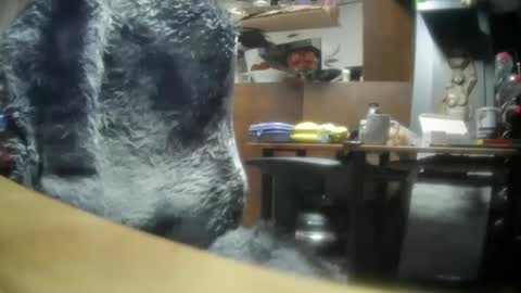 Snapshot of giovanne1 chatting on December 8, 6:22 am giovanne1 online show from December 8, 6:22 am