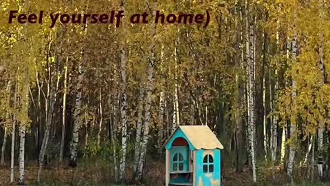 Kristin  online show from February 22, 5:37 pm