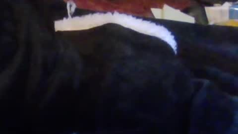 lovegirlscallme online show from October 14, 12:02 am