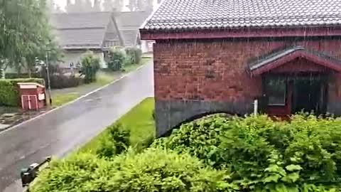 glebc online show from July 3, 11:48 am