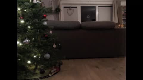 goddamndan online show from December 21, 4:02 pm