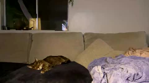 GoddessMayvn online show from October 16, 6:02 am