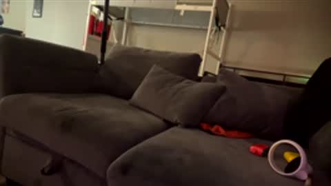 gofasterlastlonger online show from January 8, 1:28 pm