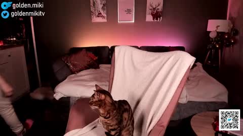 Shy in the streets but a freak in the sheets online show from February 2, 6:14 am