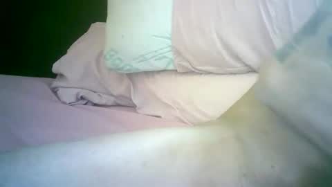 Snapshot of goldmil chatting on November 1, 7:13 pm tender bot online show from November 1, 7:13 pm