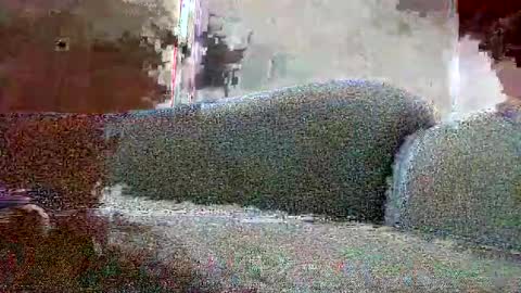 Snapshot of good_arab_big_dick chatting on September 11, 3:46 pm Geny online show from September 11, 3:46 pm