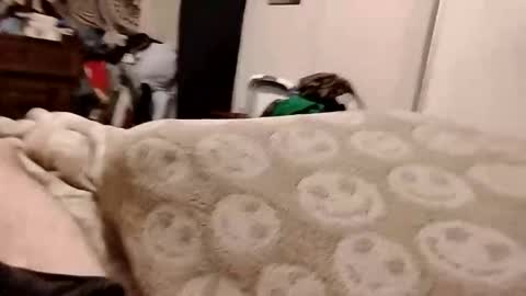 goodandplentygoods online show from January 17, 9:41 am