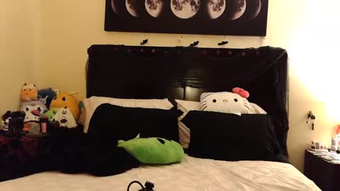 gothbaby305 online show from November 2, 5:46 pm