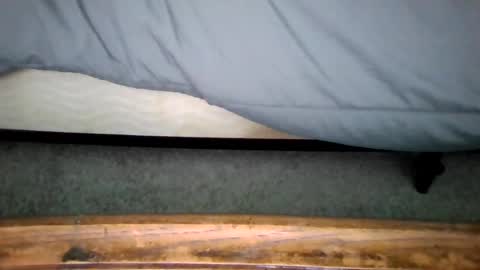 watch me stroke online show from July 4, 8:56 pm