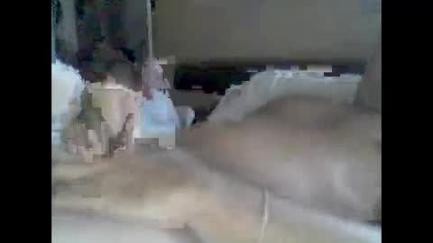 Snapshot of grittslappa chatting on September 15, 12:56 am grittslappa online show from September 15, 12:56 am