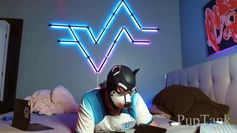 Alpha pup online show from October 22, 7:59 pm