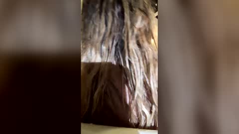 gufloripa2 online show from March 5, 10:52 pm