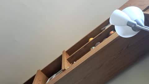 gumimaci53 online show from November 4, 9:54 am