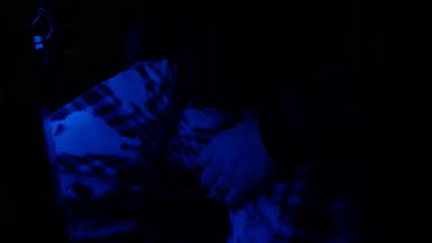 H2omygod online show from January 25, 9:26 am