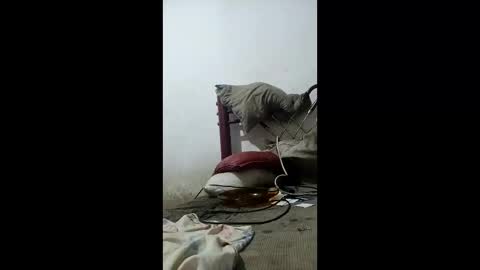 h30anoss online show from April 17, 5:10 am