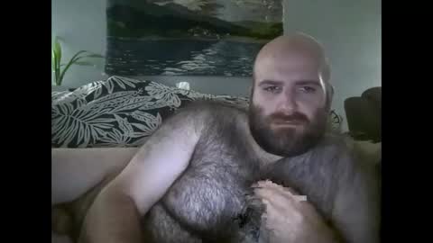 Hairiest Bear online show from September 29, 5:39 am