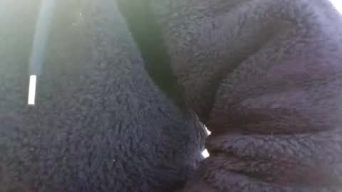 Snapshot of hairypussyxl chatting on January 13, 5:33 am hairypussyxl online show from January 13, 5:33 am