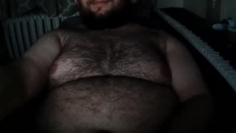 Hairy Bear online show from November 21, 1:03 am
