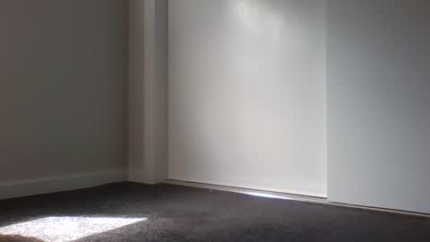 hand_ball_32 online show from January 19, 12:31 am