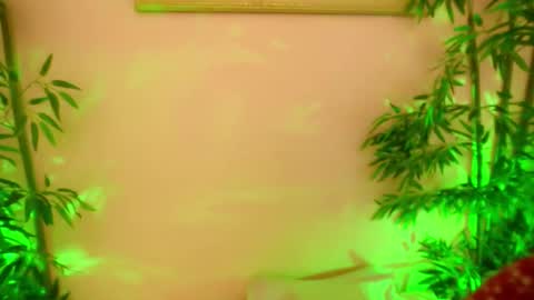 Snapshot of happyalice chatting on September 18, 5:33 am HappyAlice online show from September 18, 5:33 am
