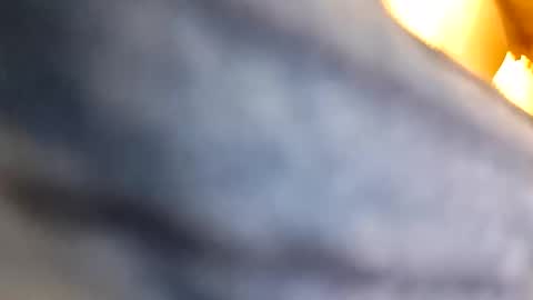 happysunshine4319 online show from March 5, 7:39 am