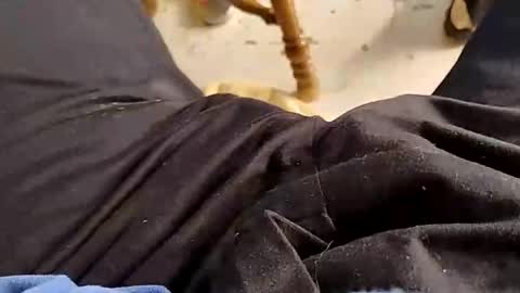 hardandhorny422 online show from December 21, 9:32 pm