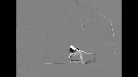 Snapshot of hardman7007 chatting on September 19, 9:18 pm hardman7007 online show from September 19, 9:18 pm