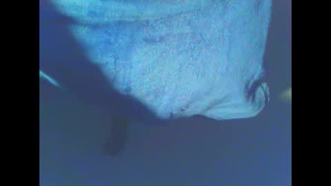 hardning online show from December 28, 5:12 am