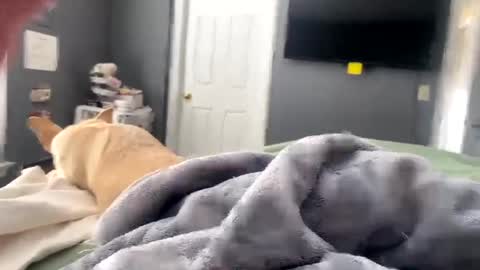 hardnthickm55 online show from January 17, 4:04 pm