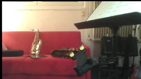 Snapshot of hartwichser1 chatting on February 15, 12:04 am hot n nasty online show from February 15, 12:04 am