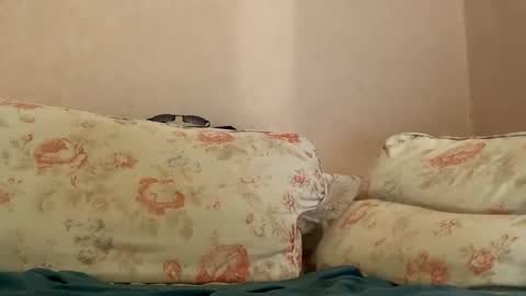 dee online show from February 27, 3:08 am