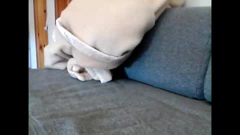 havier282874 online show from May 22, 8:54 am