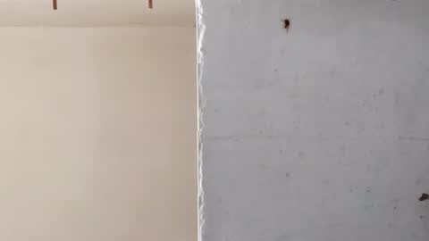 heaven_07 online show from March 16, 11:36 am