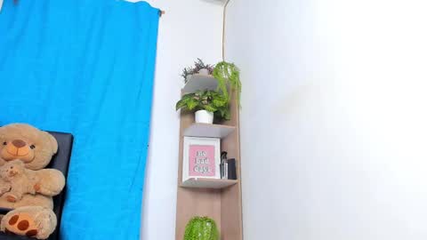 alan y zack online show from November 19, 2:16 pm