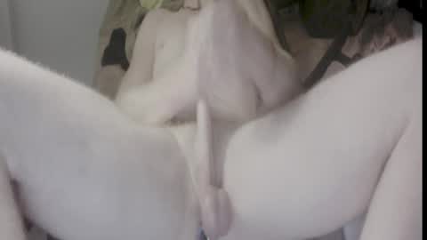 HenryFlapper online show from January 11, 9:37 am