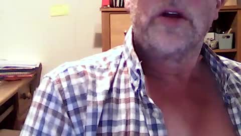 hereford66 online show from July 16, 10:40 am