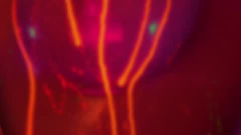 Alina online show from October 19, 7:40 pm