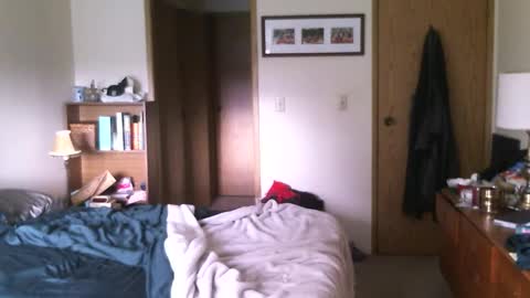 hg99too online show from February 19, 4:39 pm