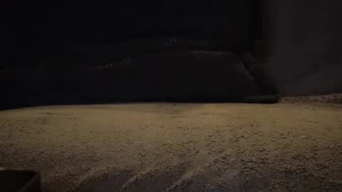 hikinxxx online show from February 8, 6:17 am