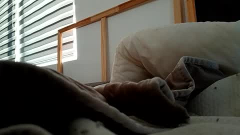 Fucker online show from November 6, 12:19 pm