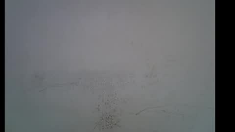 mamacita online show from September 26, 9:56 pm