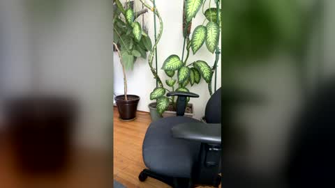 honeylips online show from March 22, 10:47 pm