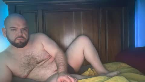 hornazzbear online show from December 1, 9:07 am