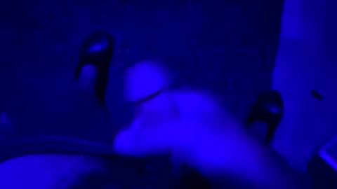 hornystroker21 online show from October 19, 1:54 am