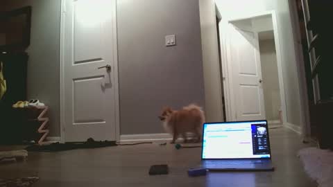 hotgirlbigbutt online show from December 15, 10:28 pm