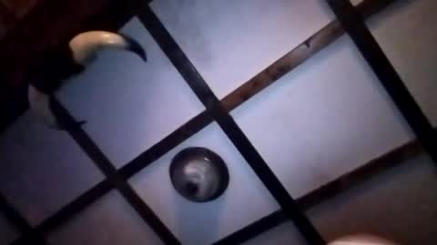 hotloads1992 online show from January 10, 1:11 am