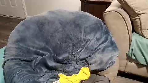 hotpepperose online show from March 28, 4:47 am