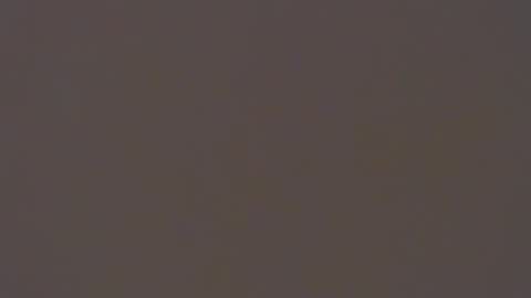 dada11 online show from November 22, 8:13 am