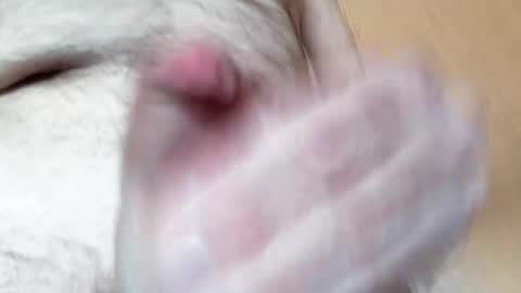 hrubesch2019 online show from March 19, 10:32 am